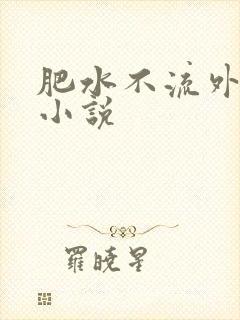 肥水不流外人田小说