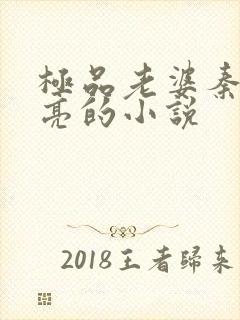 极品老婆秦敏徐亮的小说封面