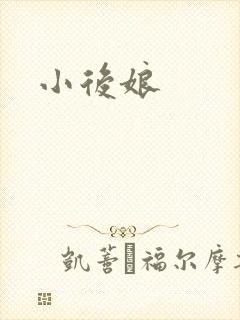 小后娘封面
