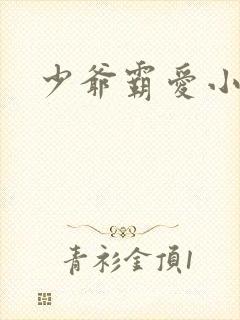 少爷霸爱小丫头