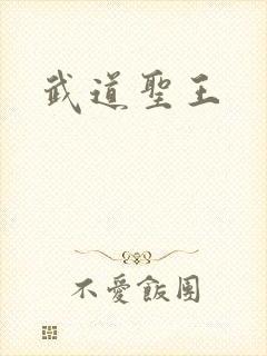 武道圣王