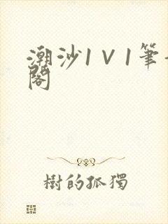 潮沙1∨1笔趣阁封面