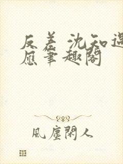 反差 沈知遇晏应笔趣阁封面