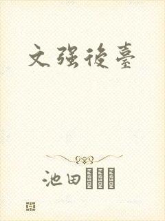 文强后台封面