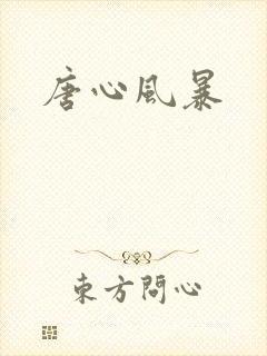 唐心风暴封面