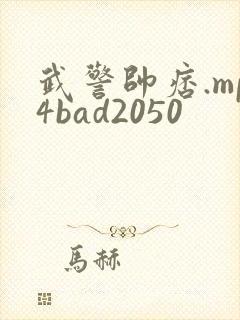 武警帅痞.mp4bad2050