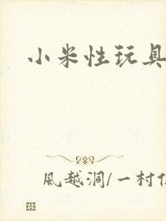 小米性玩具日记