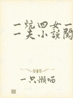 一炕四女一共侍一夫小说阅读