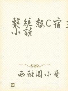 系统想C宿主的小说