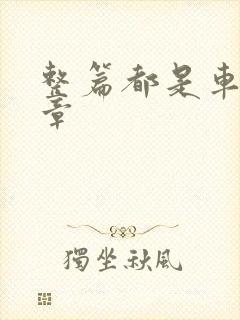 整篇都是车的文章