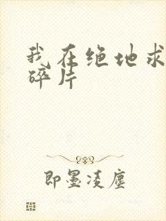 我在绝地求生捡碎片