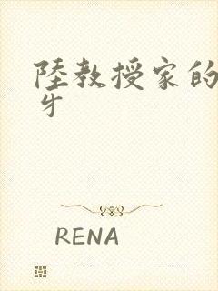 陆教授家的小月牙