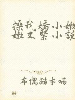 搡我娇小嫩苞又嫩又紧小说