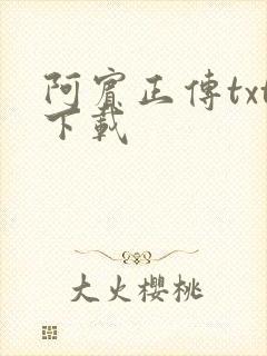 阿宾正传txt下载
