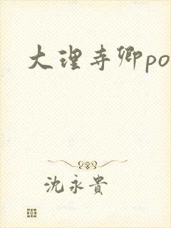 大理寺卿po封面