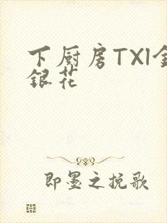 下厨房TXl金银花