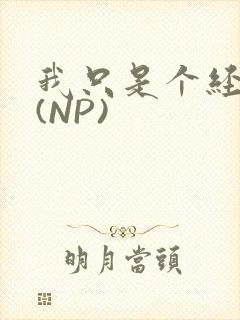 我只是个经纪人(NP)