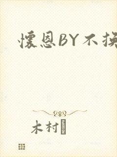 怀恩BY不换