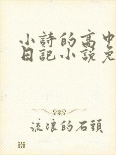 小诗的高中成长日记小说免费阅读封面