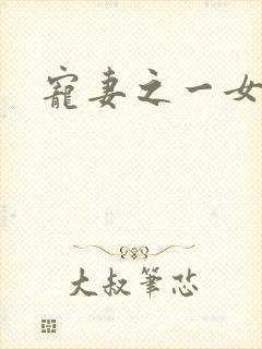 宠妻之一女二夫封面