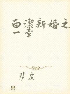 白洁新婚之夜第一章封面