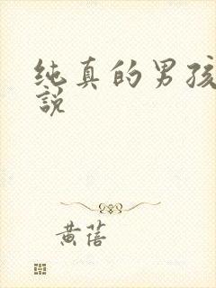 纯真的男孩子小说封面