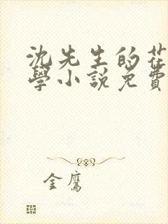 沈先生的花式教学小说免费