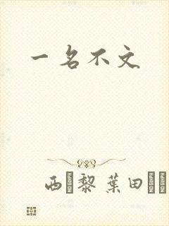 一名不文封面