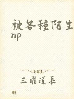 被各种陌生人 np