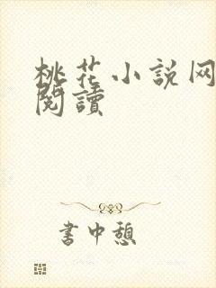 桃花小说网小说阅读封面