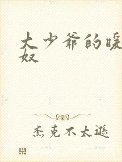 大少爷的暖床小奴