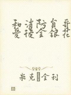 和消防员哥哥恋爱后金银花趣笔阁封面