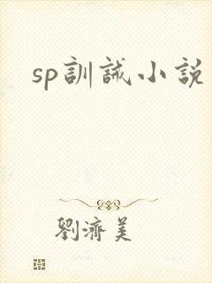 sp训诫小说