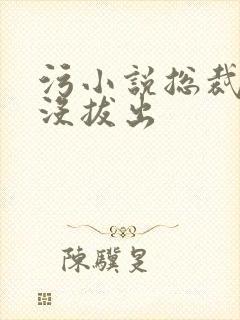 污小说总裁整夜没拔出封面