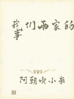 我们两家的荒唐事封面