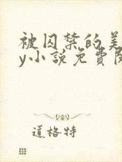 被囚禁的美人by小说免费阅读