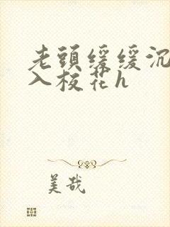 老头缓缓沉腰进入校花h