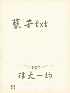 孽子txt封面