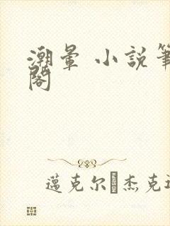 潮晕 小说笔趣阁