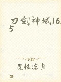 刀剑神域16.5封面