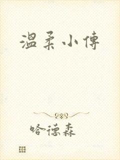 温柔小传