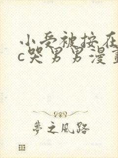 小受被按在墙上c哭男男漫画封面