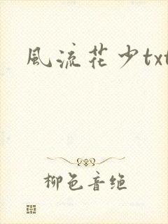 风流花少txt封面