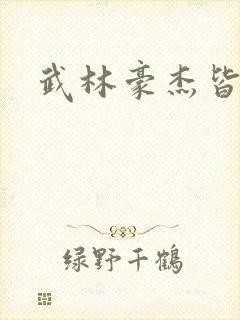 武林豪杰皆我奴