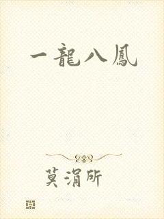 一龙八凤封面