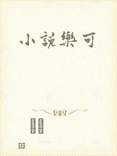 小说乐可封面