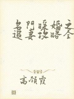 名门暖婚之权爷追妻攻略全文免费阅读