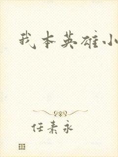 我本英雄小说