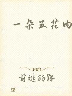 一朵五花肉封面