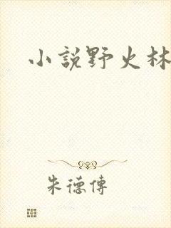 小说野火林晚晚